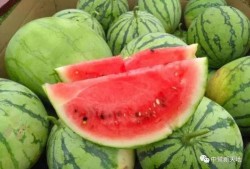 评课瓜瓜吃瓜,一场别开生面的教育盛宴