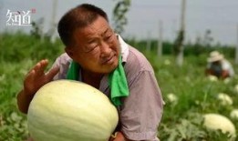 吃瓜群众拍的,吃瓜群众视角下的娱乐圈风云录