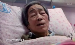 兰儿吃瓜,揭秘娱乐圈幕后故事