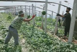 呱唧呱唧吃瓜,揭秘娱乐圈那些事儿