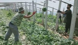 呱唧呱唧吃瓜,揭秘娱乐圈那些事儿