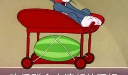 吃瓜爆料密室,一场惊心动魄的悬疑冒险之旅