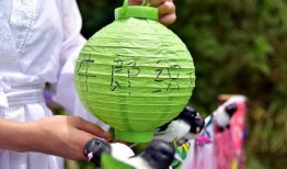 七夕 吃瓜,吃瓜群众揭秘浪漫背后的甜蜜秘密