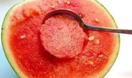 呼啦圈吃瓜,揭秘明星们的“吃瓜”日常