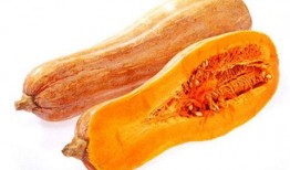 月经可以吃蜜蜂瓜,天然滋补新选择