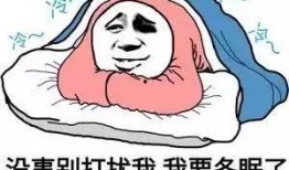 寒风中吃瓜,瓜香四溢——冬日里的独特美食体验