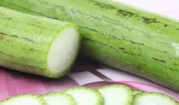 吃虫的瓜,探寻自然界的奇妙共生现象