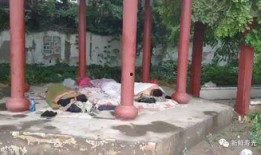 广职凉亭吃瓜视频,校园生活趣味瞬间