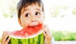 鼠大王吃瓜,一场奇幻的瓜界冒险之旅