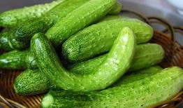 吃瓜梁,一场关于美食与生活的趣味之旅