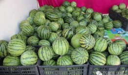 陈都吃瓜,揭秘娱乐圈幕后故事