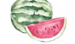 吃瓜看人品情侣,情侣间的真实性格大揭秘