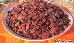 吃瓜的瓜子图片真实,揭秘吃瓜神器——瓜子图片背后的故事