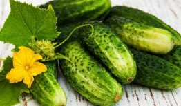 生瓜连皮吃吗,健康与营养的双重保障