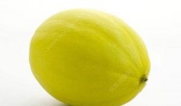 吃蜜瓜功效,健康生活新选择