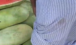 吃瓜群众坐等吃大瓜,吃瓜群众狂欢盛宴