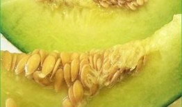 吃哈密瓜测怀孕,甜蜜果实中的神奇预示