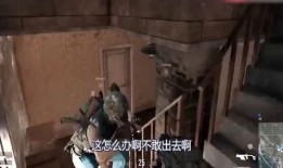 车晚晚吃鸡视频吃瓜,揭秘网红直播幕后吃瓜趣事