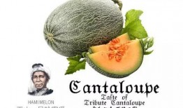 吃瓜强,揭秘娱乐圈背后的那些事儿