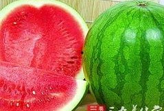 陈都吃瓜,揭秘娱乐圈幕后故事