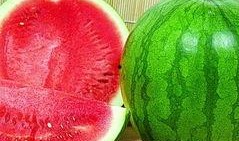 陈都吃瓜,揭秘娱乐圈幕后故事