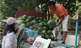 济宁人吃瓜,探寻当地独特的吃瓜文化