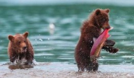 吃瓜小熊奔现,一场意外的网红奇遇记