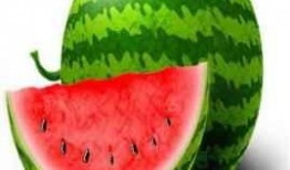 丽瓜能一起吃吗,丽瓜与哪些食材相宜？揭秘食材搭配禁忌