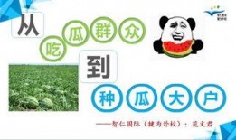 吃瓜群众基础教学,吃瓜群众视角下的校园生活掠影