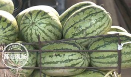 国内吃瓜在钱,揭秘国内“吃瓜群众”的金钱游戏