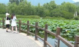 学校长椅事件吃瓜,一场意外引发的校园热议