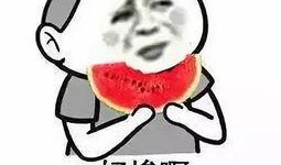 在线吃瓜娃子视频,网络热梗背后的故事与影响