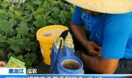 嘎嘎吃大瓜,揭秘娱乐圈的甜蜜与苦涩