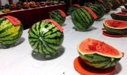 吃瓜梁,一场关于美食与生活的趣味之旅