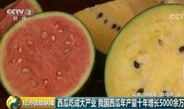 吃瓜群众坐等吃大瓜,吃瓜群众狂欢盛宴