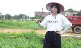 静雯吃瓜,揭秘娱乐圈背后的那些事儿