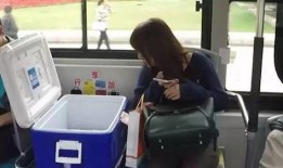 最烦等公交 吃瓜,日常生活的趣味瞬间