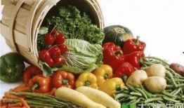 哪天是吃瓜节,吃瓜节的由来与庆祝方式