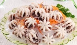 章鱼和小七吃瓜,趣味横生的海洋生活