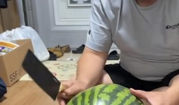 人类吃瓜现场,人类吃瓜狂欢，欢乐无限