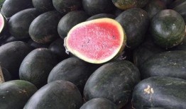 玉林市吃瓜,瓜果飘香，美食盛宴