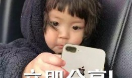 吃瓜表情吃旺柴,揭秘网络社交新潮流