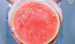 沙瓜和脆瓜吃哪个贵,价格对决，吃哪个更贵？