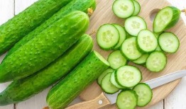 今日晴宜吃瓜壁纸,今日宜吃瓜壁纸赏析