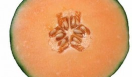 1周小孩吃哈密瓜,宝宝营养新选择