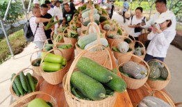 常州展会吃瓜,吃瓜群众的狂欢盛宴