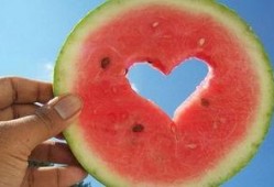 趣味吃瓜活动内容介绍,一场舌尖上的狂欢体验