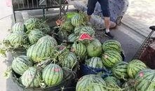 郓城吃瓜事件真相,揭开真相背后的曲折与反思