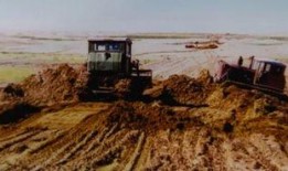 杭锦旗苏醒吃瓜,吃瓜群众见证乡村振兴新篇章