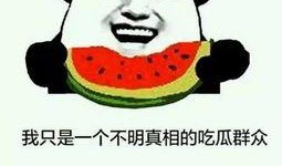 吃瓜群众的姐姐,姐姐视角下的网络现象